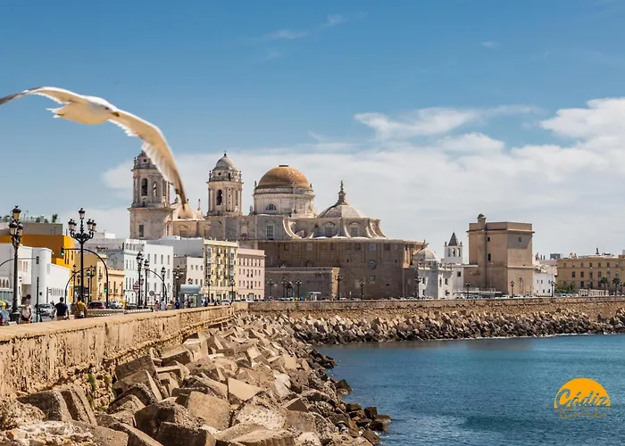 Buenos Aires By Livework 아파트 *